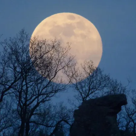 شقة Am Sonnenberg