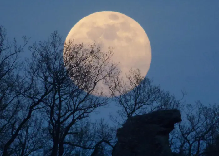 Apartamento Am Sonnenberg